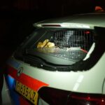 Politie bekogeld met vuurwerk tijdens illegale carmeeting in Budel-Dorplein