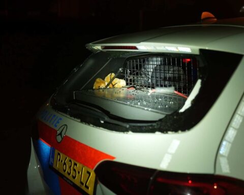 Politie bekogeld met vuurwerk tijdens illegale carmeeting in Budel-Dorplein