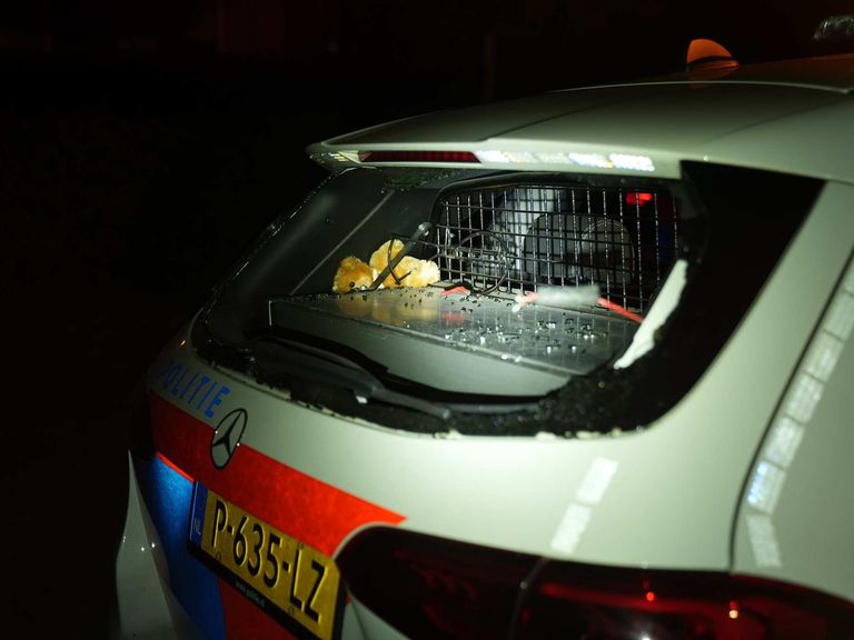 Politie bekogeld met vuurwerk tijdens illegale carmeeting in Budel-Dorplein