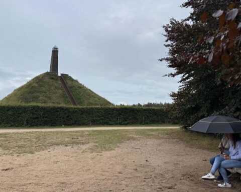 Provincie bevestigt aanval door 'probleemwolf' op kind in Austerlitz