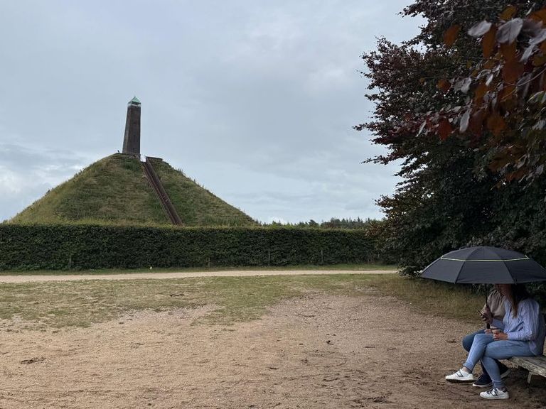 Provincie bevestigt aanval door 'probleemwolf' op kind in Austerlitz