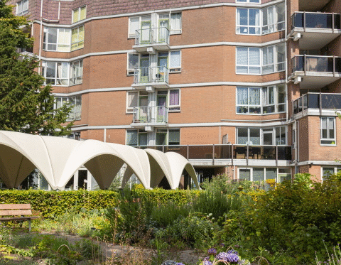 Burgerberaad Amsterdam stelt extra regels voor groene woningbouw voor