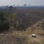 Dure cruiseschepen moeten kamernood tijdens klimaattop aanpakken