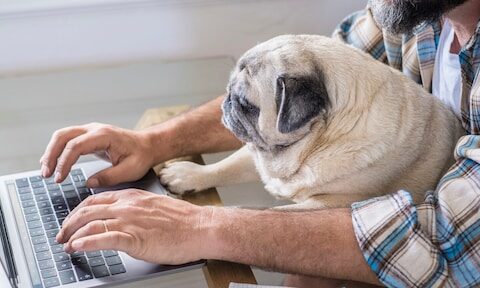 Hond leidt na 6 jaar tot rechtszaak, eigenaar krijgt gelijk