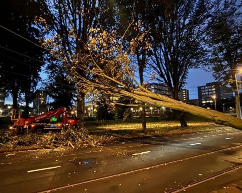 KNMI waarschuwt voor harde wind: omgevallen bomen en afgeblazen corso in Lichtenvoorde