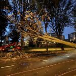 KNMI waarschuwt voor harde wind: omgewaaid bomen en afgelaste corsorondgang in Lichtenvoorde