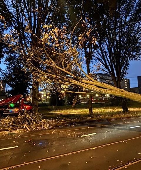 KNMI waarschuwt voor harde wind: omgewaaid bomen en afgelaste corsorondgang in Lichtenvoorde