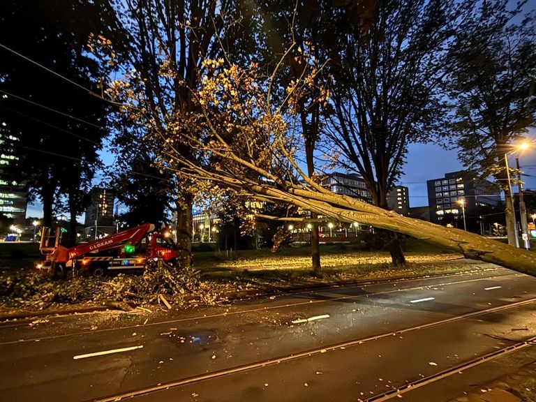 KNMI waarschuwt voor harde wind: omgewaaid bomen en afgelaste corsorondgang in Lichtenvoorde