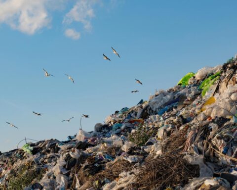 Nationale ombudsman eist onmiddellijke sluiting van stortplaats op Bonaire vanwege gezondheidsrisico's