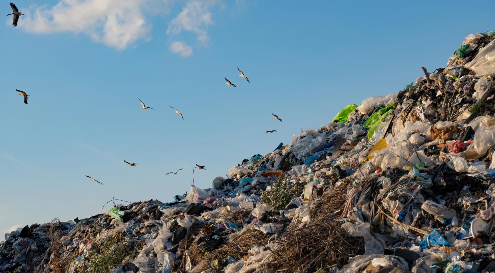 Nationale ombudsman eist onmiddellijke sluiting van stortplaats op Bonaire vanwege gezondheidsrisico's
