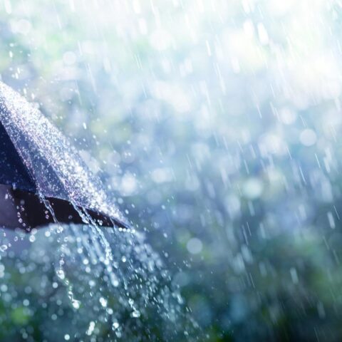 Nederland bereidt zich voor op zware regenval en windstoten tot 90 km/u