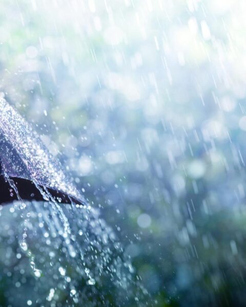 Nederland bereidt zich voor op zware regenval en windstoten tot 90 km/u