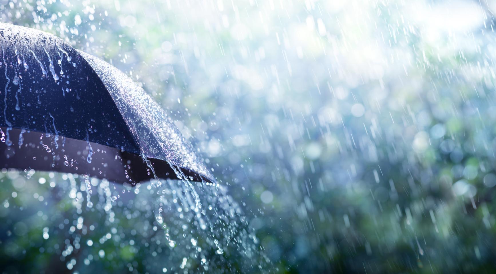 Nederland bereidt zich voor op zware regenval en windstoten tot 90 km/u