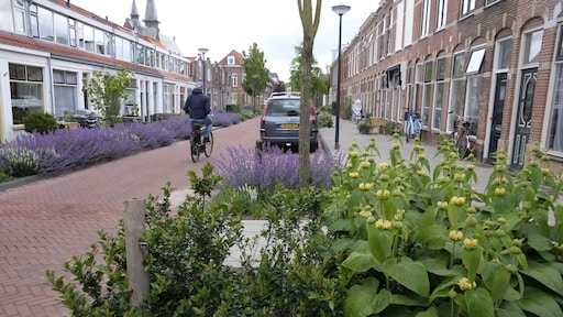 Nepverhuurder bedrieg huizenkopers met nep Airbnb-aanbiedingen