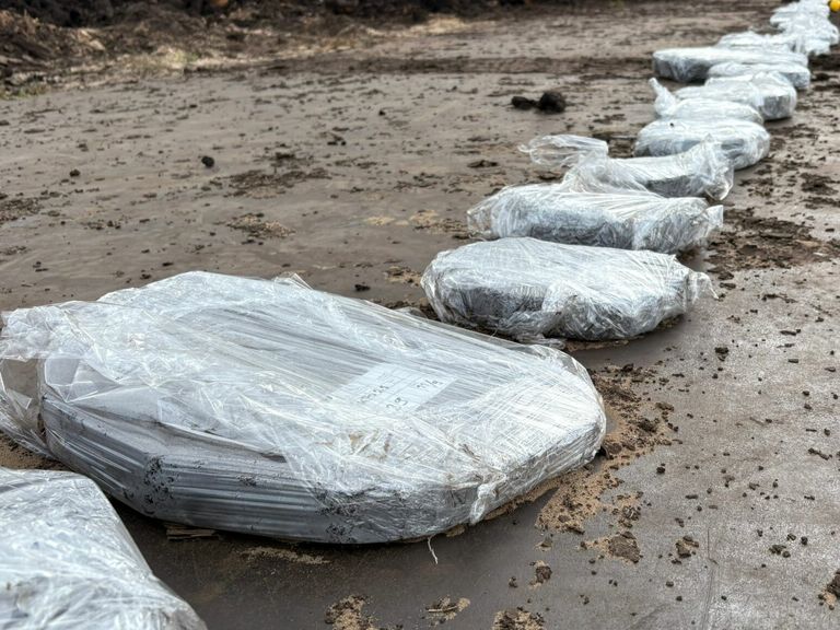 Oerbos van 6000 jaar oud ontdekt tijdens graafwerkzaamheden in Friesland