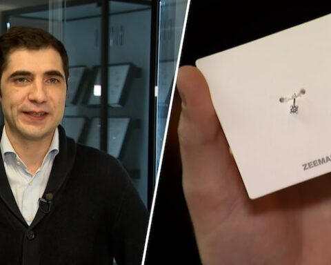 Rel over goedkope diamant eindigt met rectificatie van Zeeman