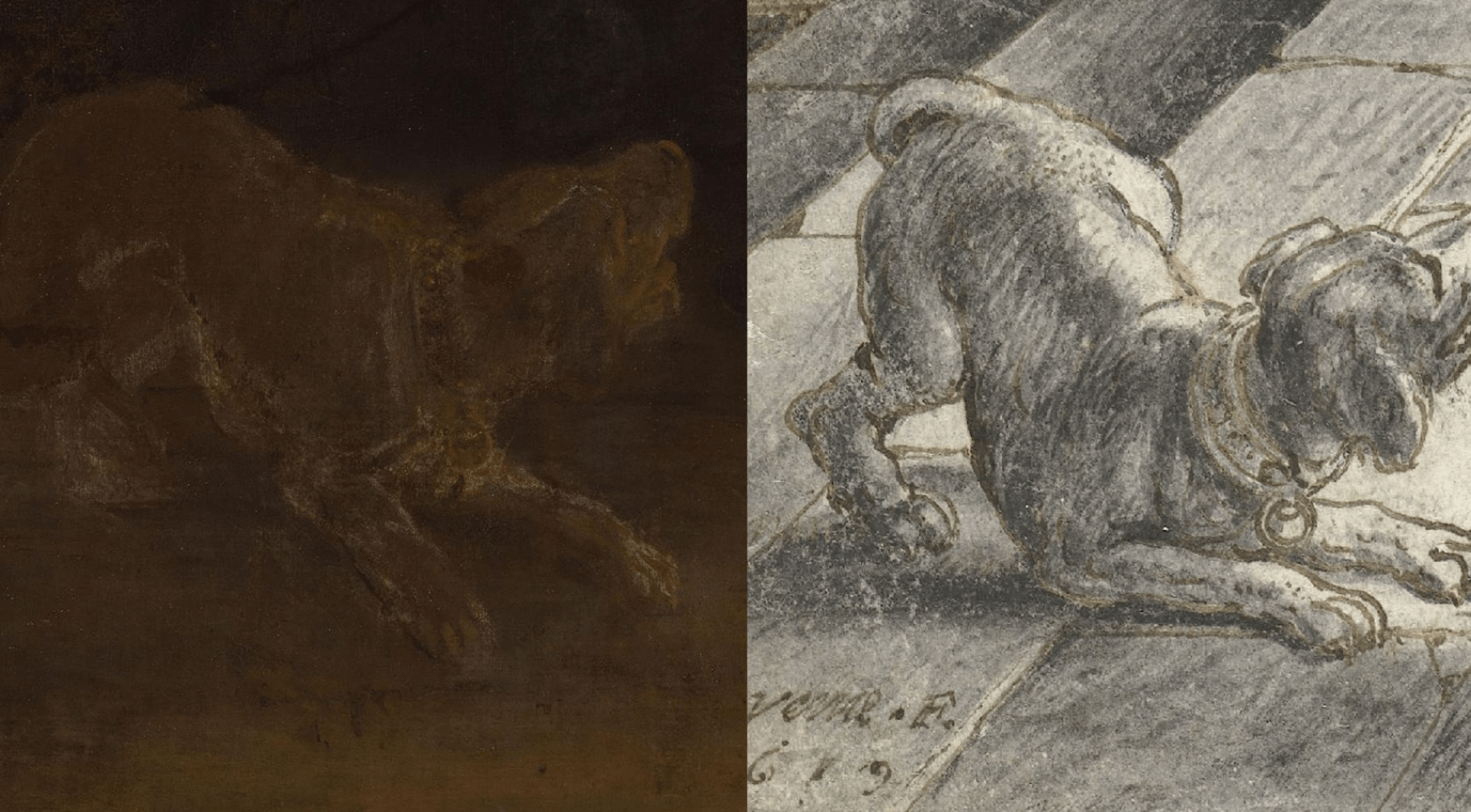 Rijksmuseum onthult inspiratie voor hond in Rembrandts De Nachtwacht