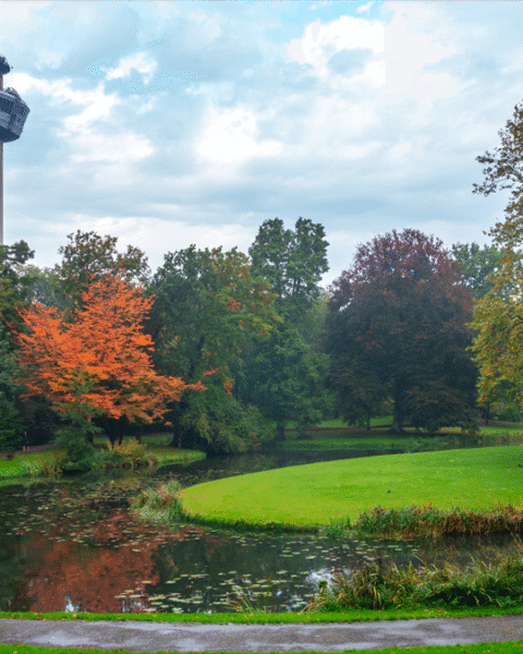 Rotterdamse plannen voor Parkhaven vereisen radicale vergroening van de omgeving