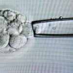 Ruimere embryowet leidt tot verdeeldheid in de Tweede Kamer