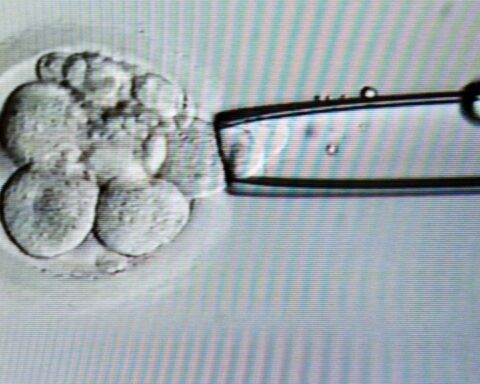 Ruimere embryowet leidt tot verdeeldheid in de Tweede Kamer