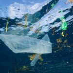 Snelle opwarming van zeewater leidt tot ongekende veranderingen