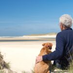 Temperaturen zullen op vrijdag stijgen tot 27°C, maar dalen weer op zondag