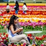 Toerisme groeit in Nederland, maar btw-verhoging kan gevolgen hebben