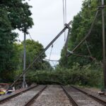 Treinen tussen Den Bosch en Tilburg stilgelegd door gevallen boom op spoor tot vrijdagochtend