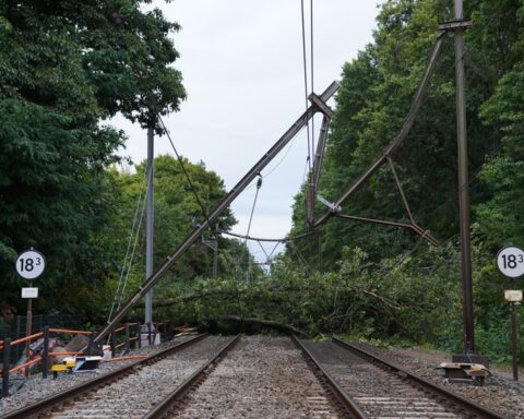 Treinen tussen Den Bosch en Tilburg stilgelegd door gevallen boom op spoor tot vrijdagochtend