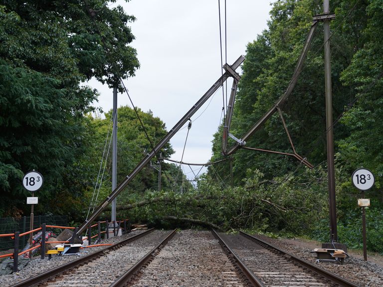 Treinen tussen Den Bosch en Tilburg stilgelegd door gevallen boom op spoor tot vrijdagochtend