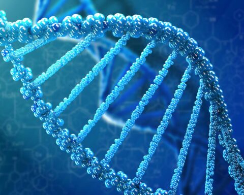 Verdachte (61) gearresteerd in verkrachtingszaak uit 2004 in Zuid-Holland na DNA-matching