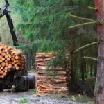 Warmtebedrijf Ede обмануло об источниках древесины для экологически чистой энергии