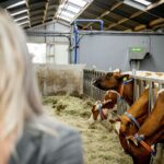 Wiersma moet gegevens over alle veehouderijen openbaar maken