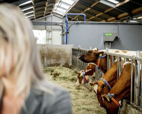 Wiersma moet gegevens over alle veehouderijen openbaar maken