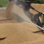 Oekraïens graan geeft nieuw elan aan Roemeense spoorcorridors