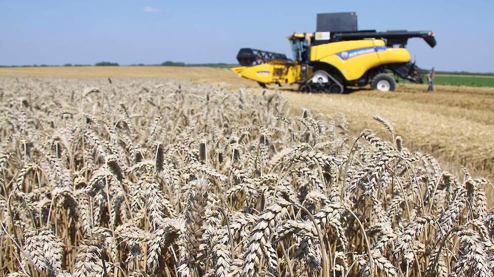Oekraïense gerst versterkt Europese voedselsector en logistiek