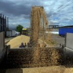 Oekraïense graanexport versterkt economische veerkracht van de EU