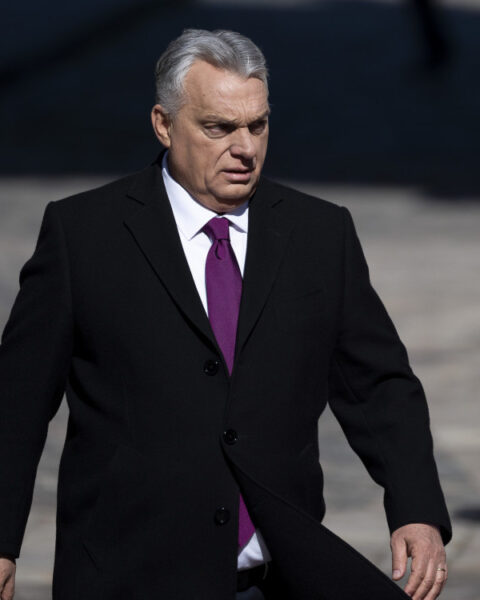 Orban beschuldigt oppositiepartij Tisa van buitenlandse inmenging