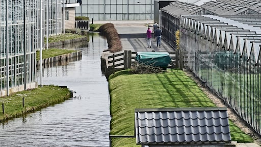 Arbeidsinspectie boetes voor uitbuiting van Oekraïners in Westlandse kassen