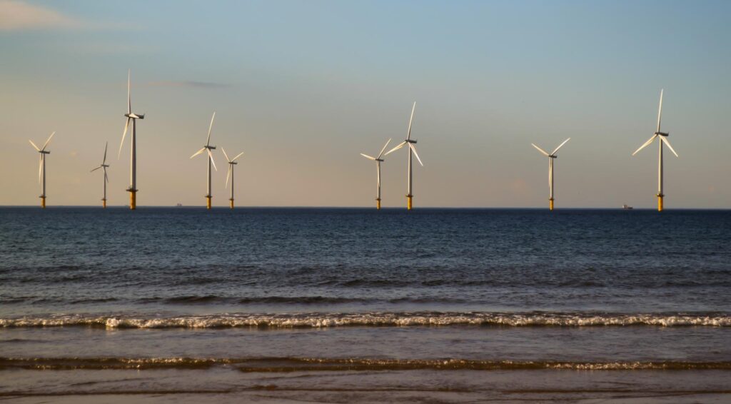 Diverse Nederlandse offshore windparken stilgelegd ter bescherming van trekvogels