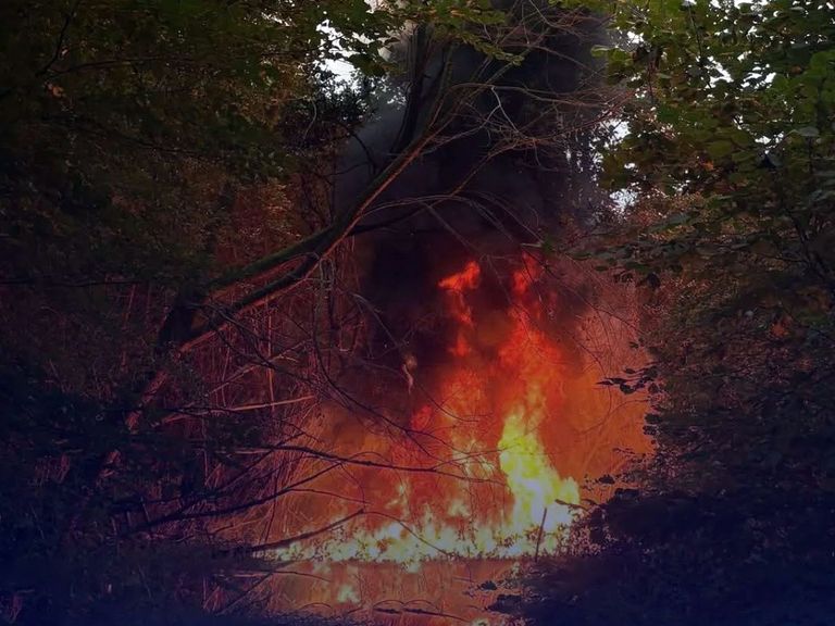 Half miljoen bijen verbrand door brandstichting in Almere tijdens incident in Beatrixpark