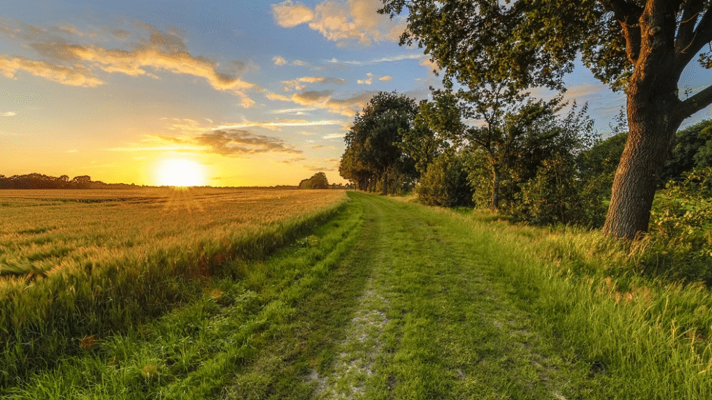 Invest Vastgoed onder vuur om misleidende verkoop van landbouwgrond zonder bouwplannen