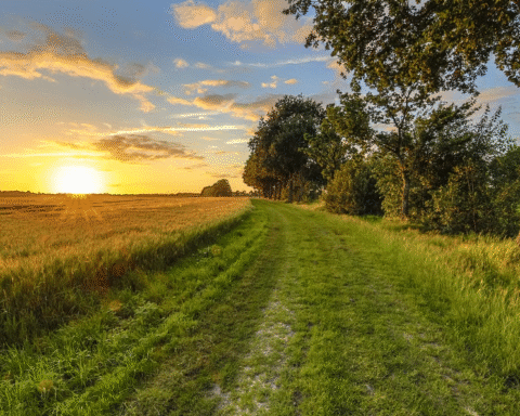 Invest Vastgoed onder vuur om misleidende verkoop van landbouwgrond zonder bouwplannen