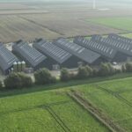 Landelijke ophokplicht na uitbraak van vogelgriep in Drenthe