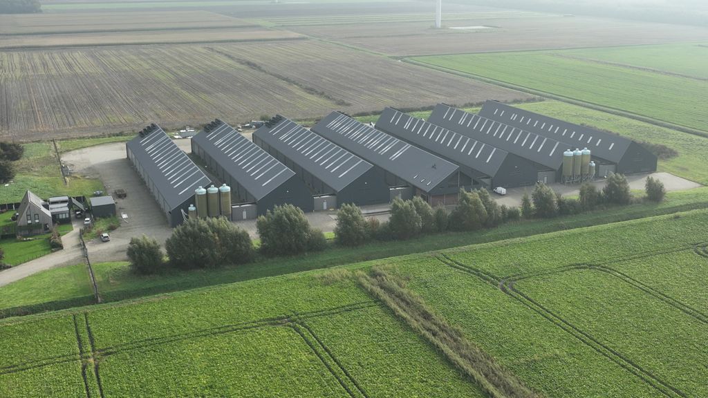 Landelijke ophokplicht na uitbraak van vogelgriep in Drenthe