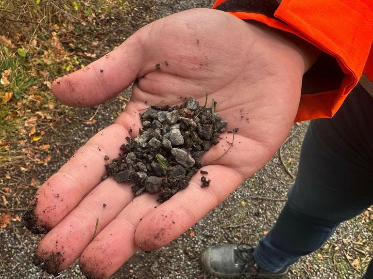 Middelburg vervangt wandelpaden door schadelijke staalslakken