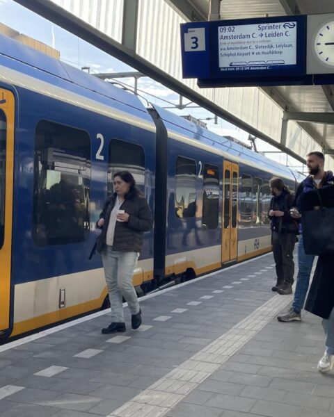 Minder treinen door tekort aan verkeersleiders; veel routes getroffen