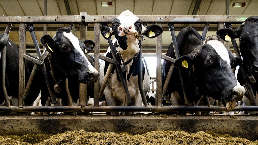 Natuur- en klimaatdoelen voor 2050 haalbaar, maar grote uitdagingen blijven bestaan