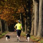 Onderzoek toont aan dat risico op long COVID in Nederland aanzienlijk is afgenomen sinds de eerste pandemiejaren