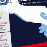 Onvoldoende oplossingen voor woningnood in verkiezingsplannen van politieke partijen